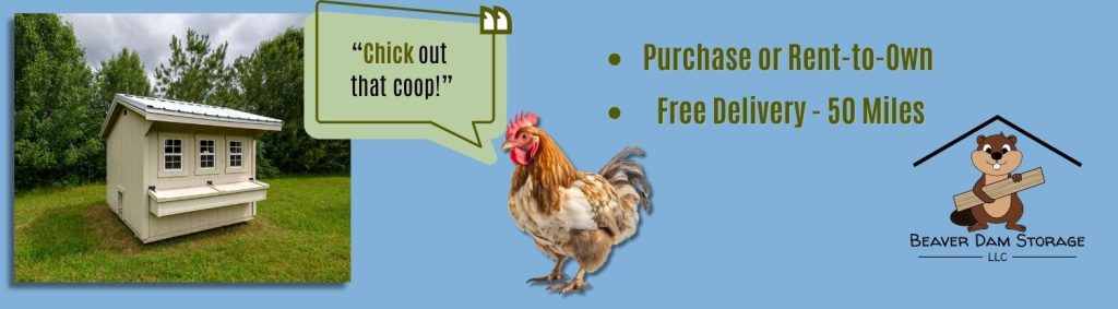 Banner Bar - Chicken